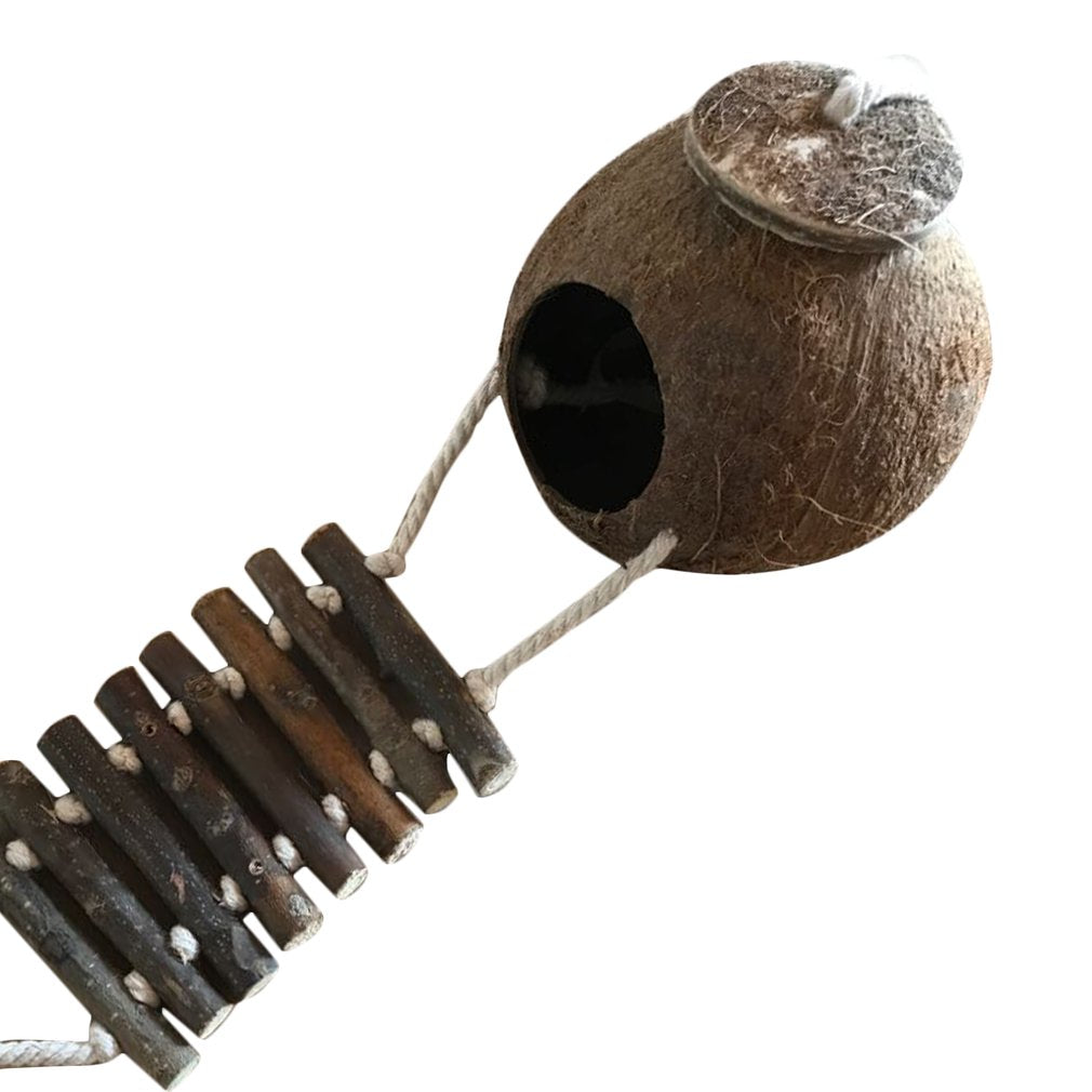 Cute Coconut Shell Bird Nesting House