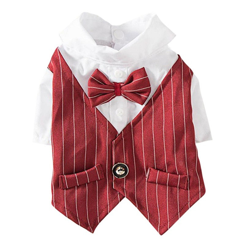 Dog Suit with Bowtie