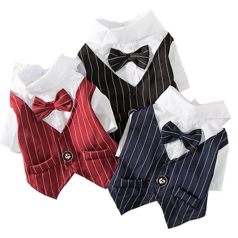 Dog Suit with Bowtie