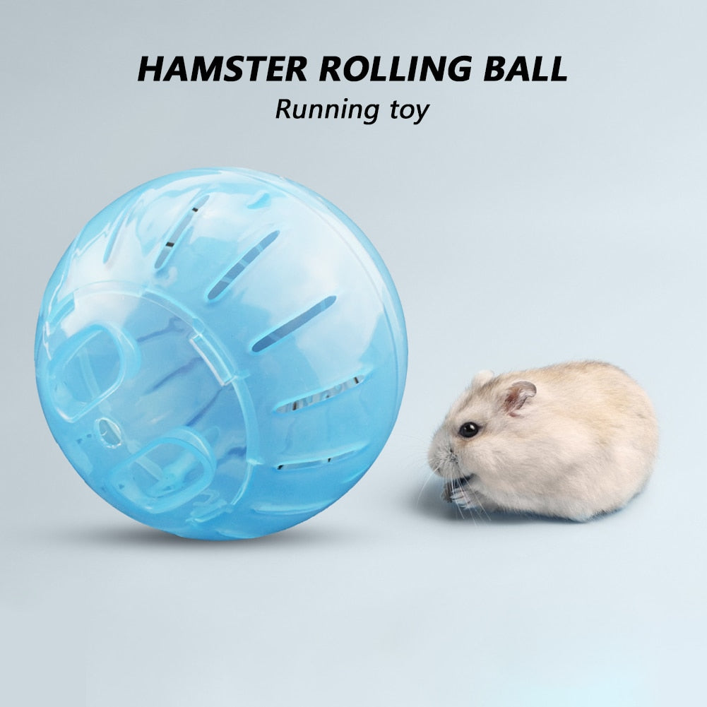 Small Pet Plastic Exercise Ball Toys