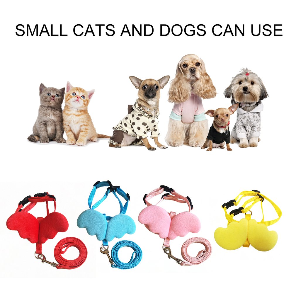 Cute Leash and Harness Set for Small - Angel Wings