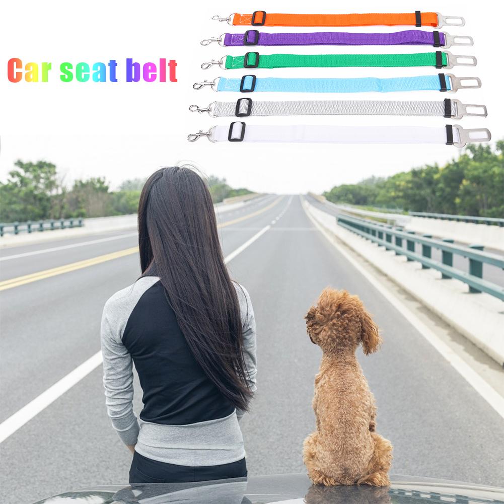 Pet Seat Belt Extender