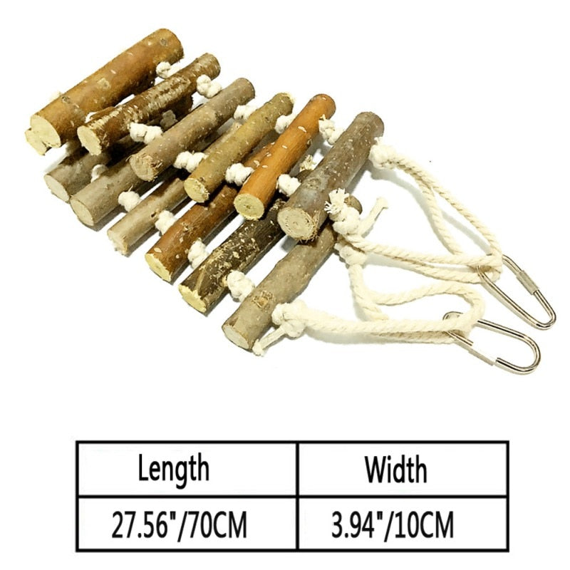 Colorful Acrylic Hanging Toy for Birds