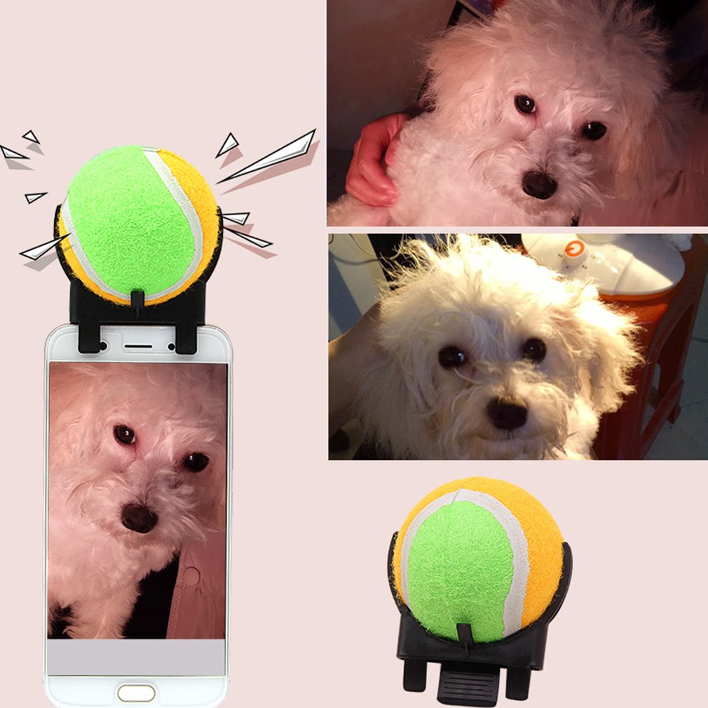 Portable Pet Selfie Stick
