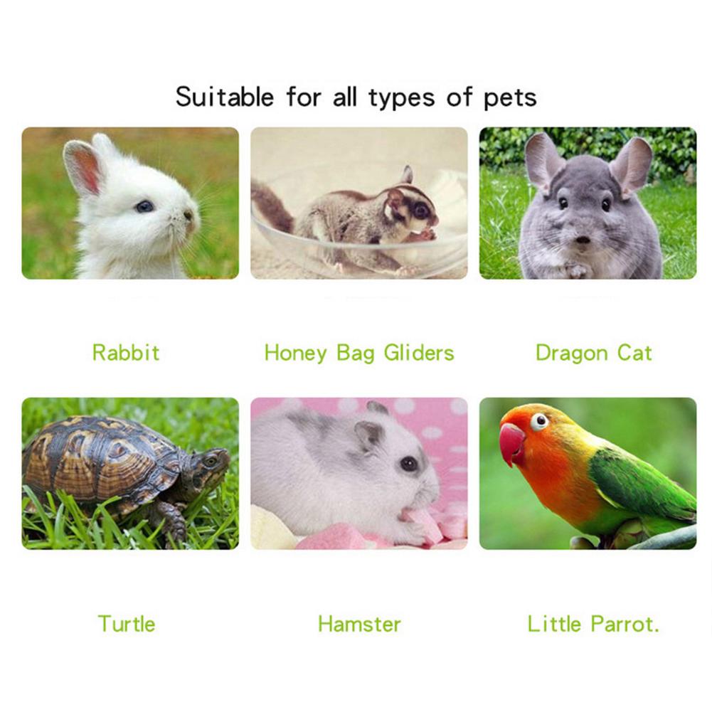 Small Pet Heat Lamps