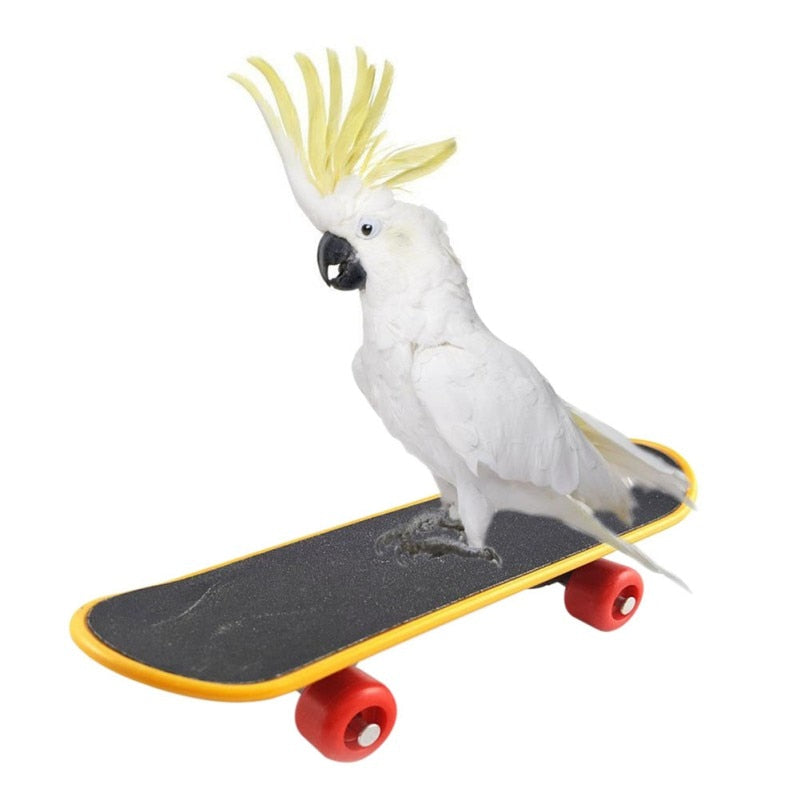 Mini Skateboard Stand Perch For Parrot