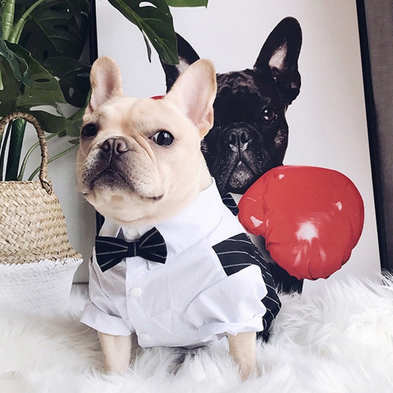 Dog Suit with Bowtie