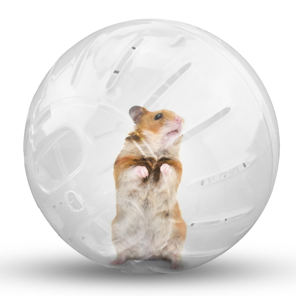 Small Pet Plastic Exercise Ball Toys