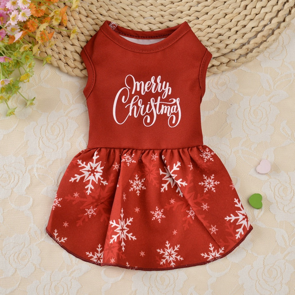 Special Occasion Pet Dress