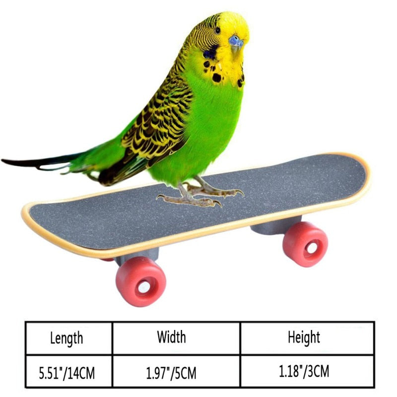 Mini Skateboard Stand Perch For Parrot
