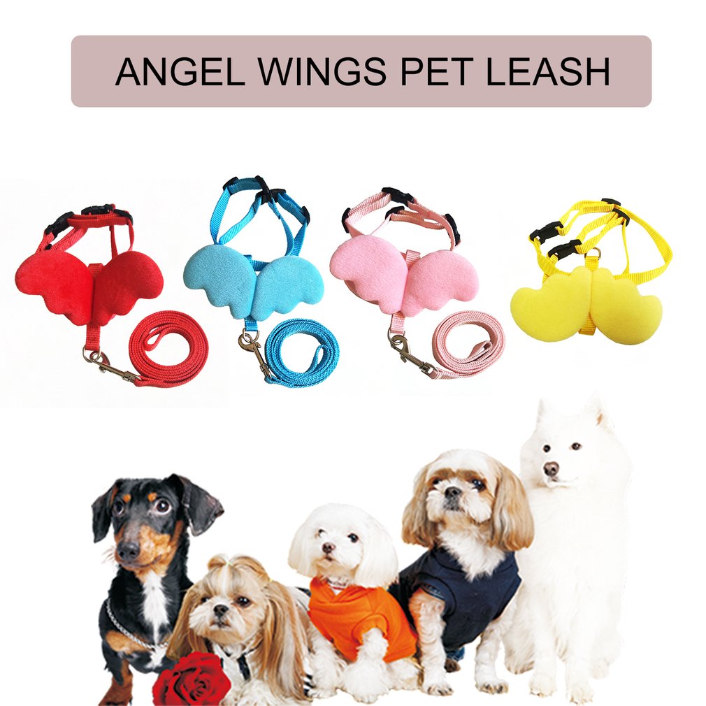 Cute Leash and Harness Set for Small - Angel Wings
