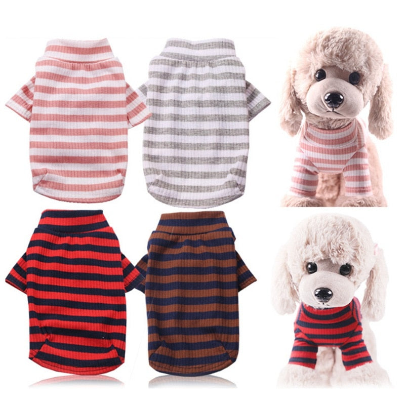 Warm, Knitted Pet Clothes
