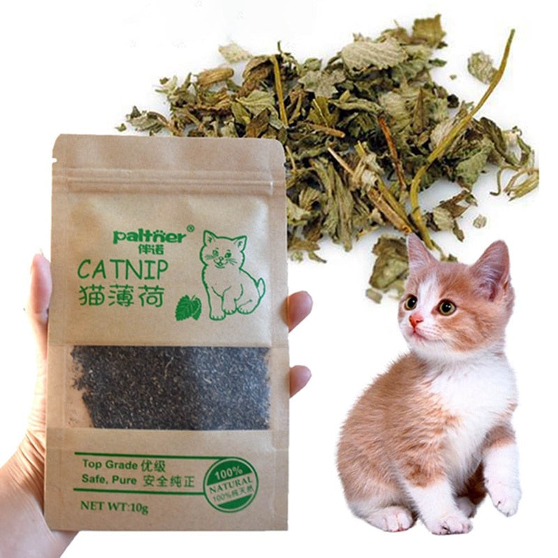 Organic 100% Natural Cat Catnip Grass