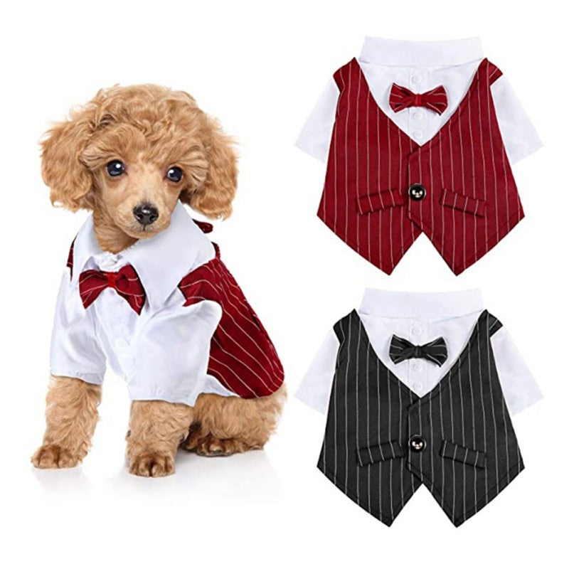 Dog Suit with Bowtie