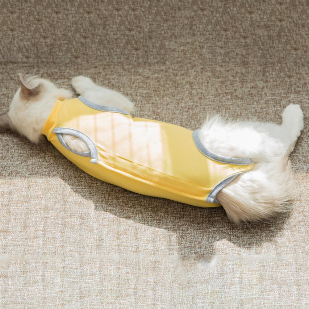 Pet Recovery Suit