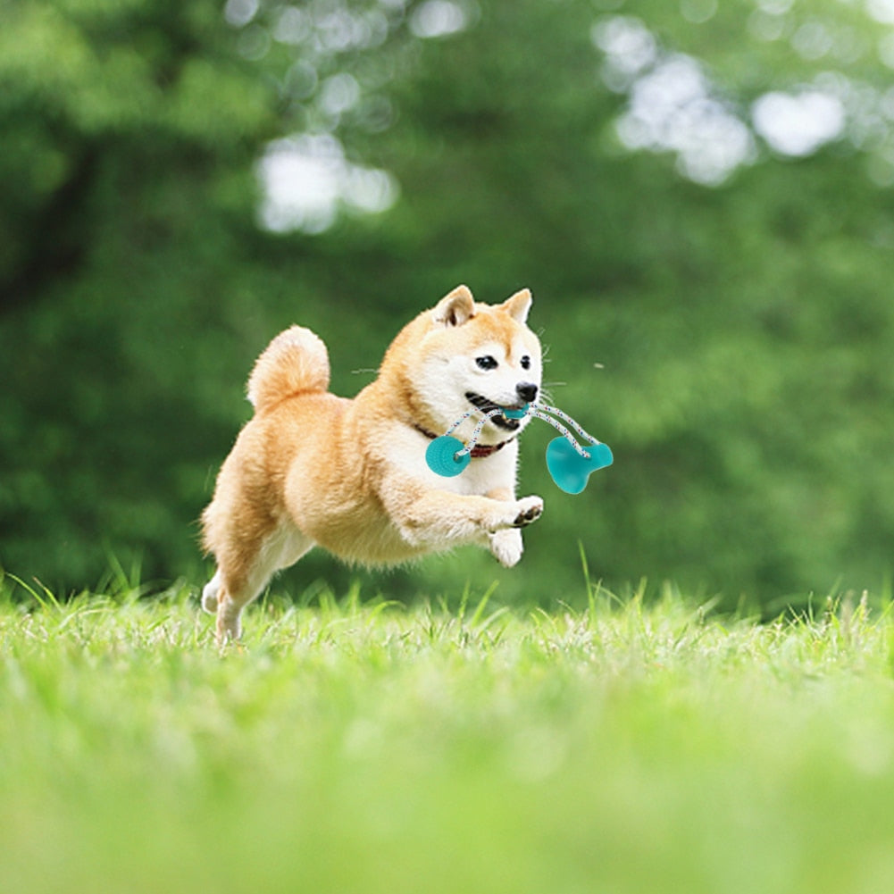 Funny Chew Toy, Bite resistant