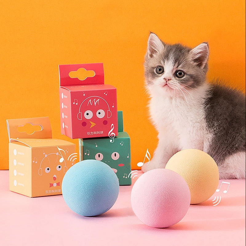 Interactive Squeaky Catnip Ball, Toy