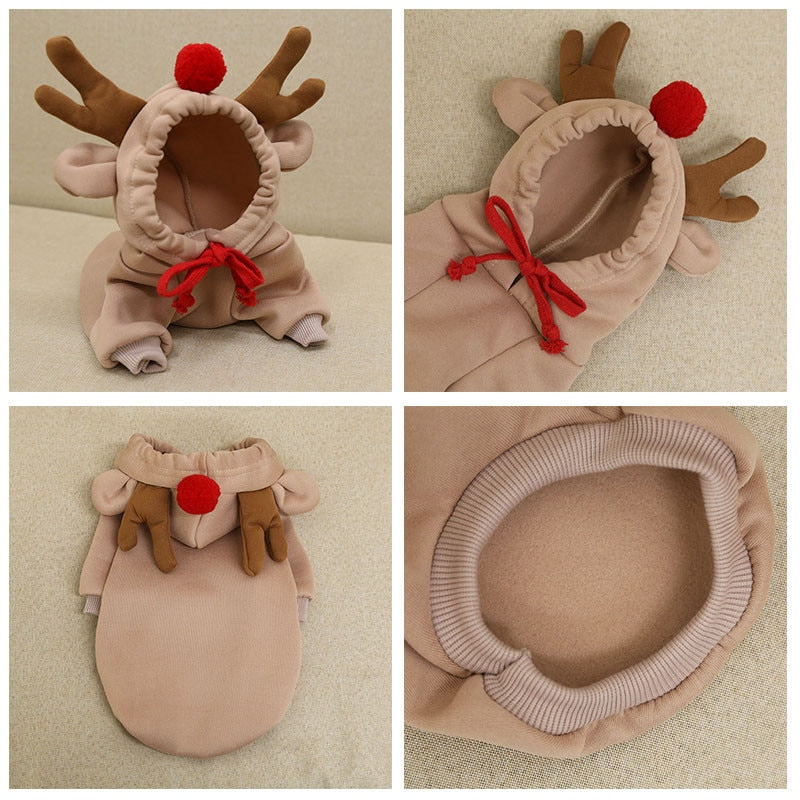 Cute Fruit Pet Clothes - Warm Fleece Costume