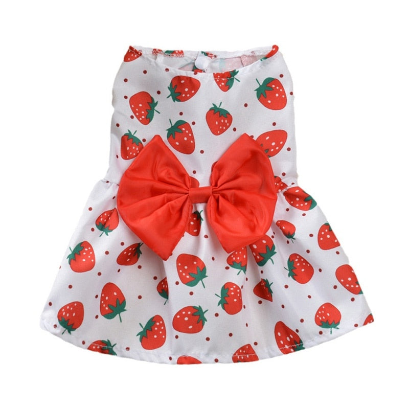 Cute Summer Floral Pet Dress