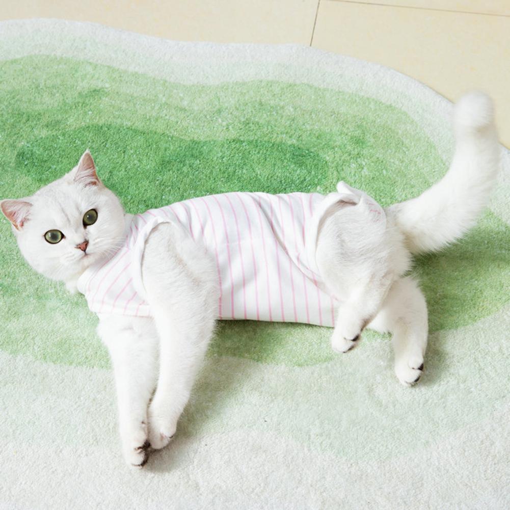 Pet Recovery Clothes