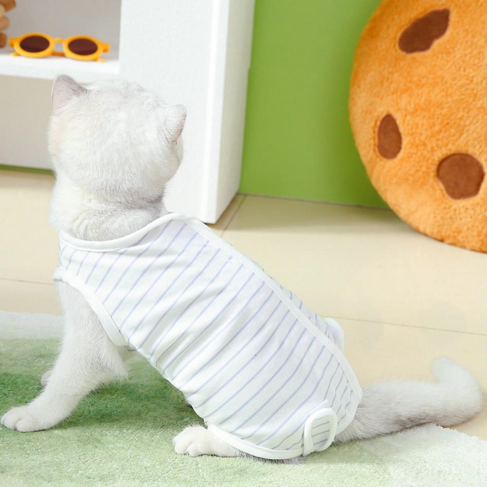 Pet Recovery Clothes