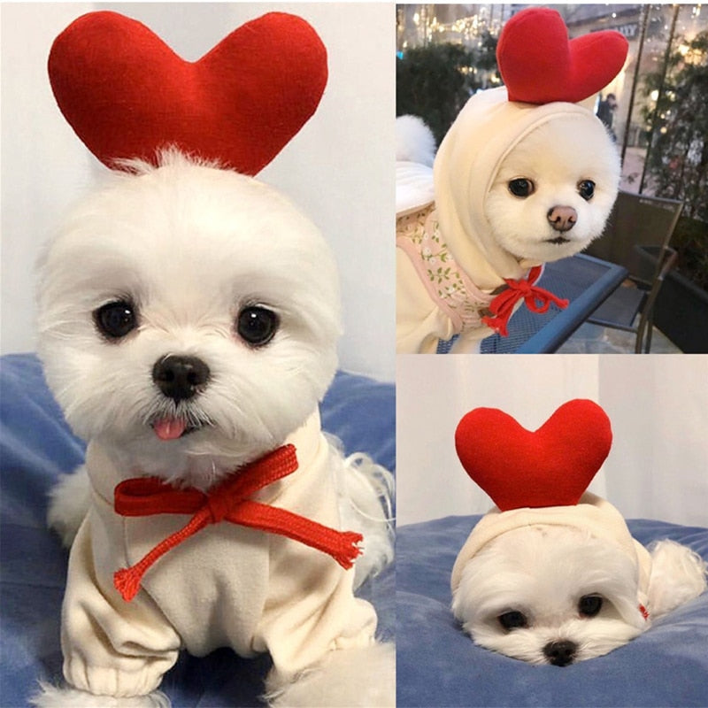 Cute Fruit Pet Clothes - Warm Fleece Costume