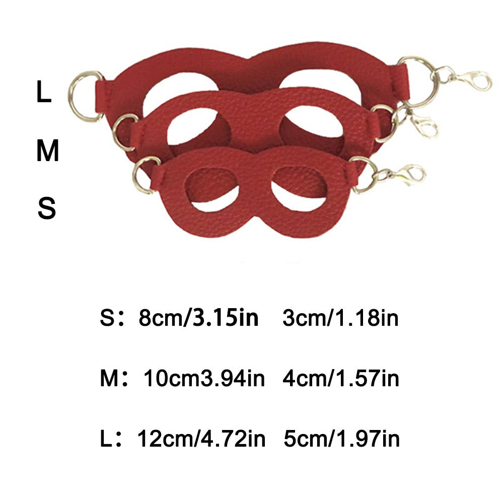 Small Pet Harness with Leash