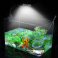 15W LED Waterproof Aquarium Light