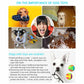 Dog Toys, Interactive Elasticity Rubber Ball