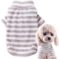 Warm, Knitted Pet Clothes