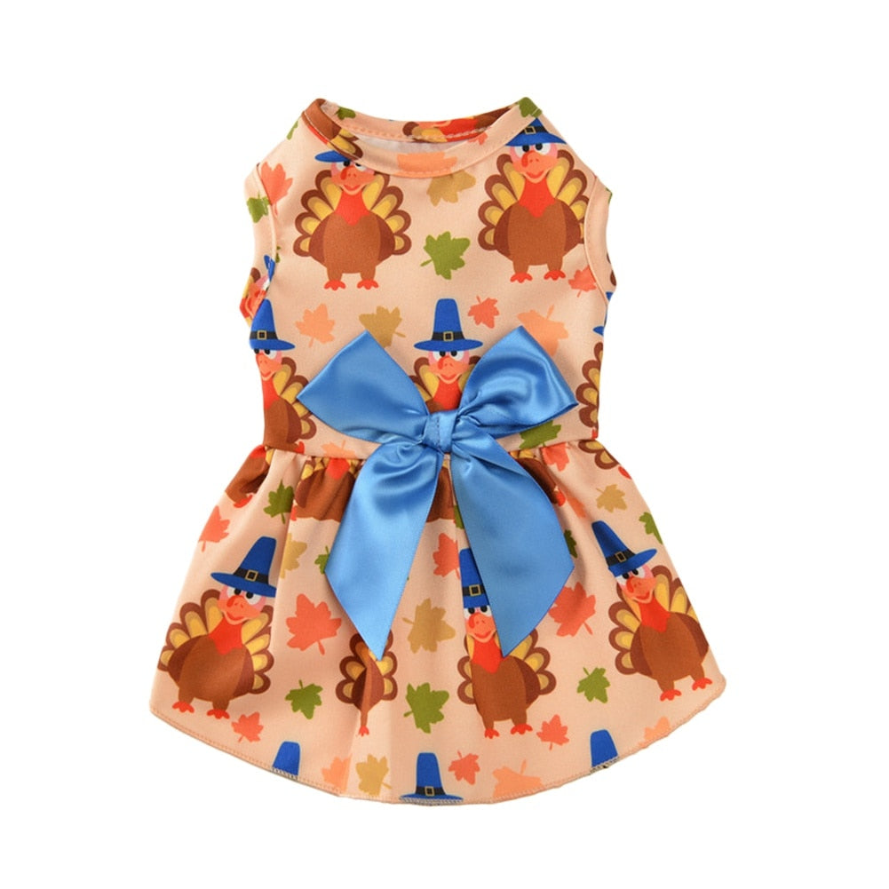 Special Occasion Pet Dress