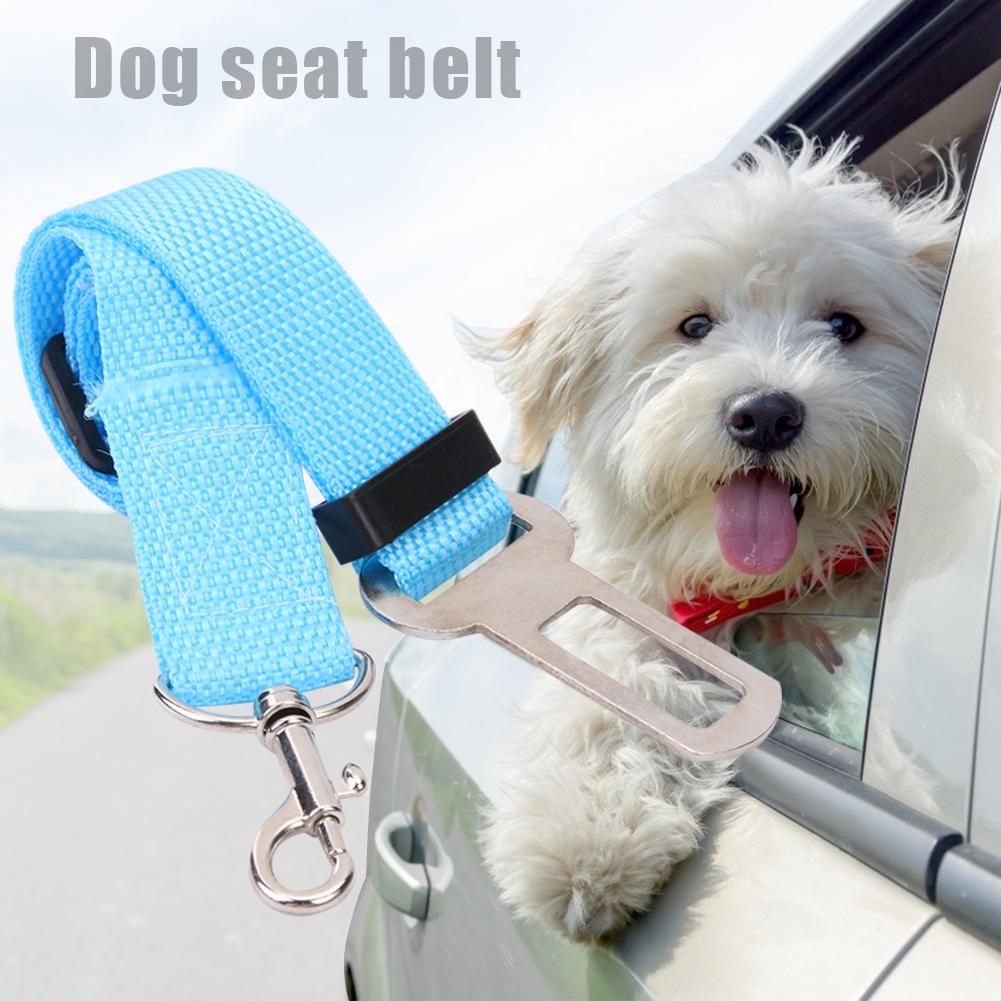 Pet Seat Belt Extender