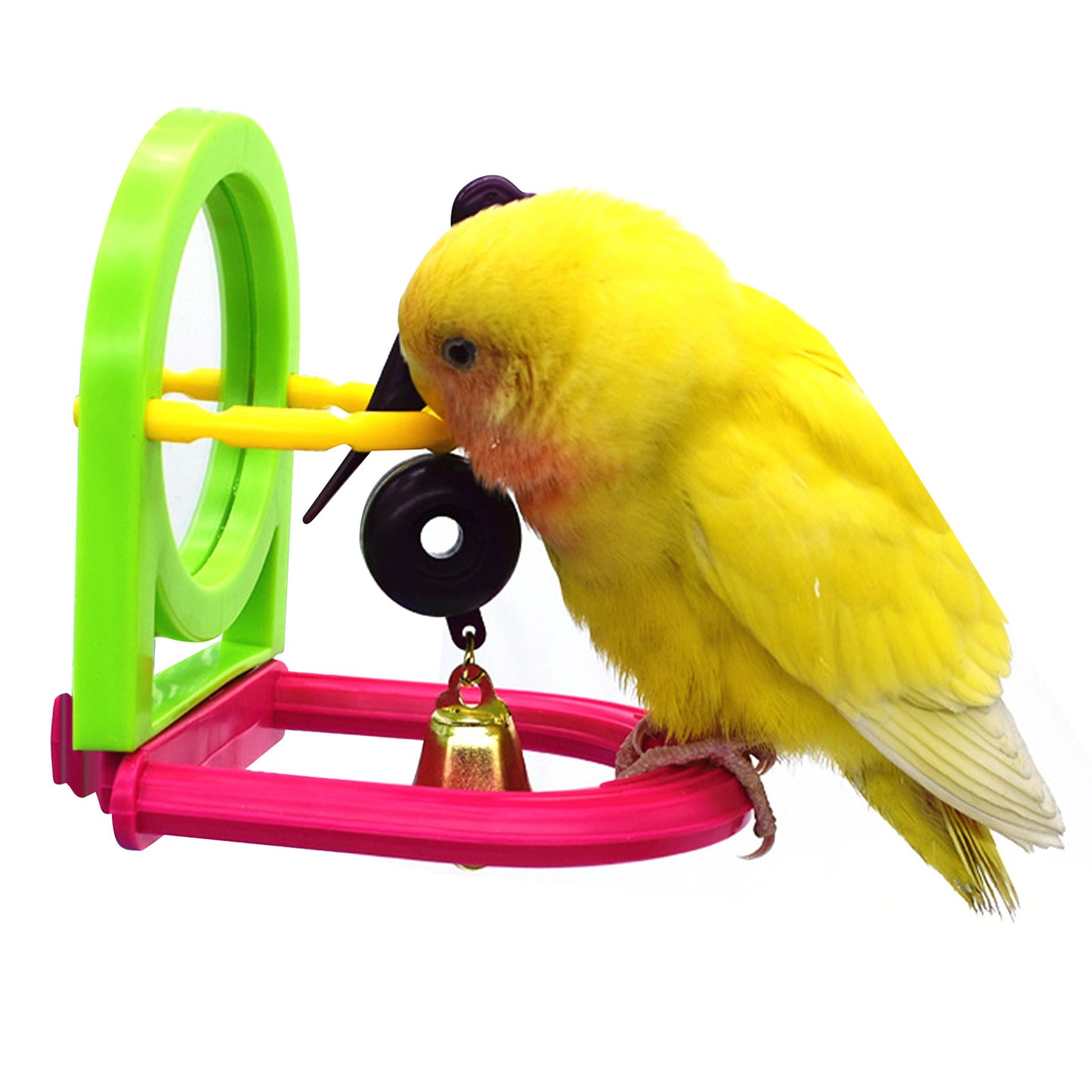 Bird Chew Toy
