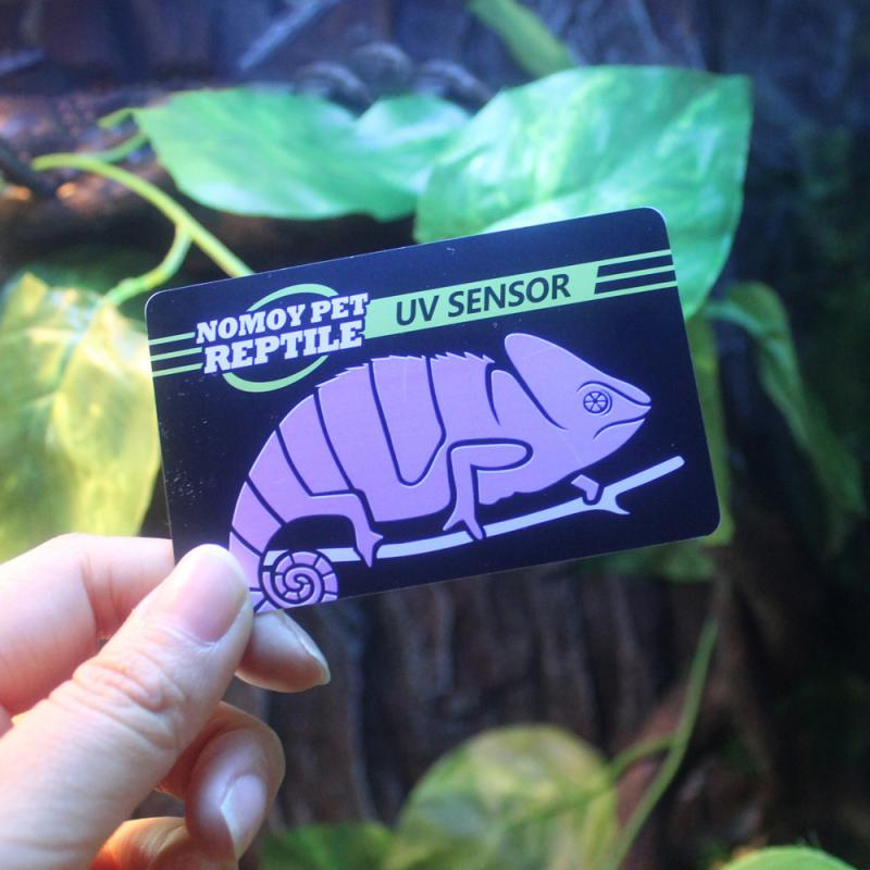 Reptile Accessories UVB Light Test Card