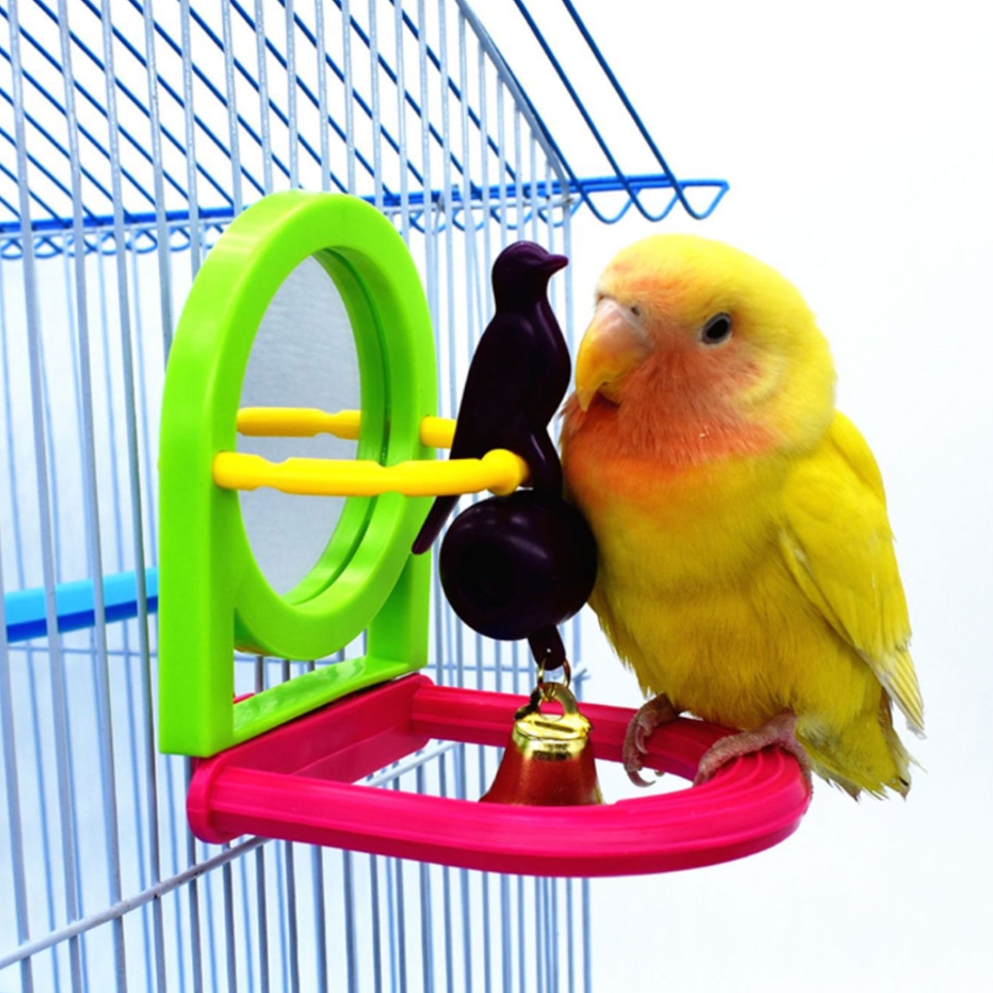Bird Chew Toy