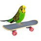 Mini Skateboard Stand Perch For Parrot