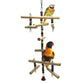 Parrots Toys And Bird Swing