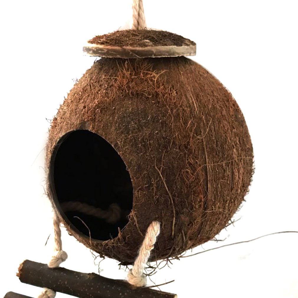Cute Coconut Shell Bird Nesting House