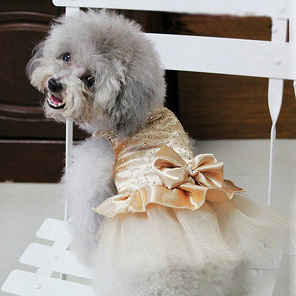 Cute Pet Dress with Skirt