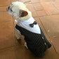 Gentleman Dog Tuxedo