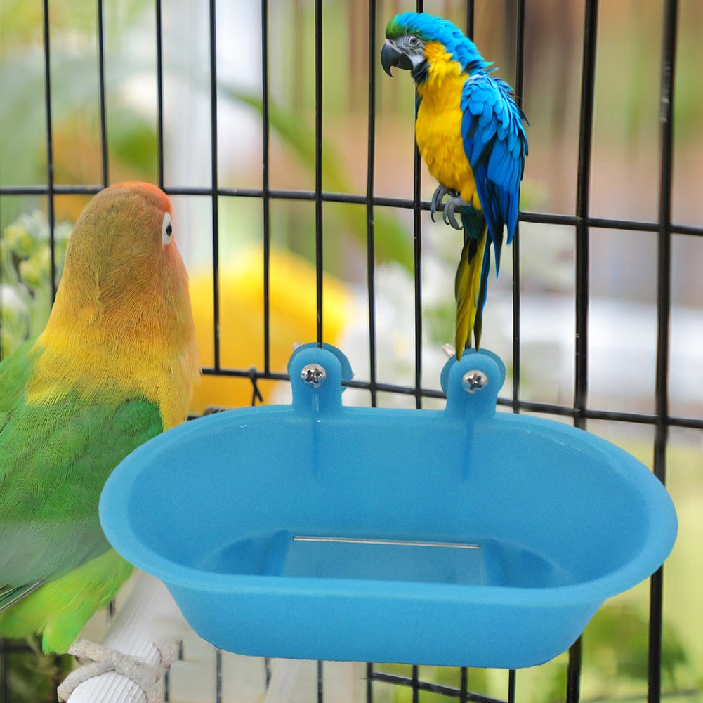Birdbath With Mirror