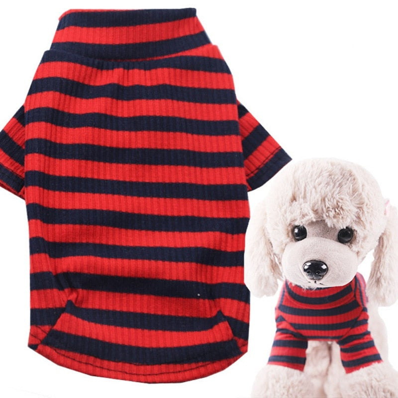 Warm, Knitted Pet Clothes