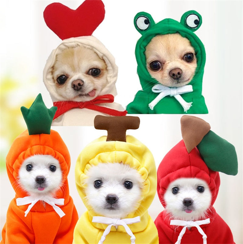 Cute Fruit Pet Clothes - Warm Fleece Costume
