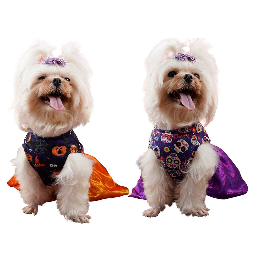 Pet Halloween Dress