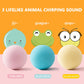 Interactive Squeaky Catnip Ball, Toy