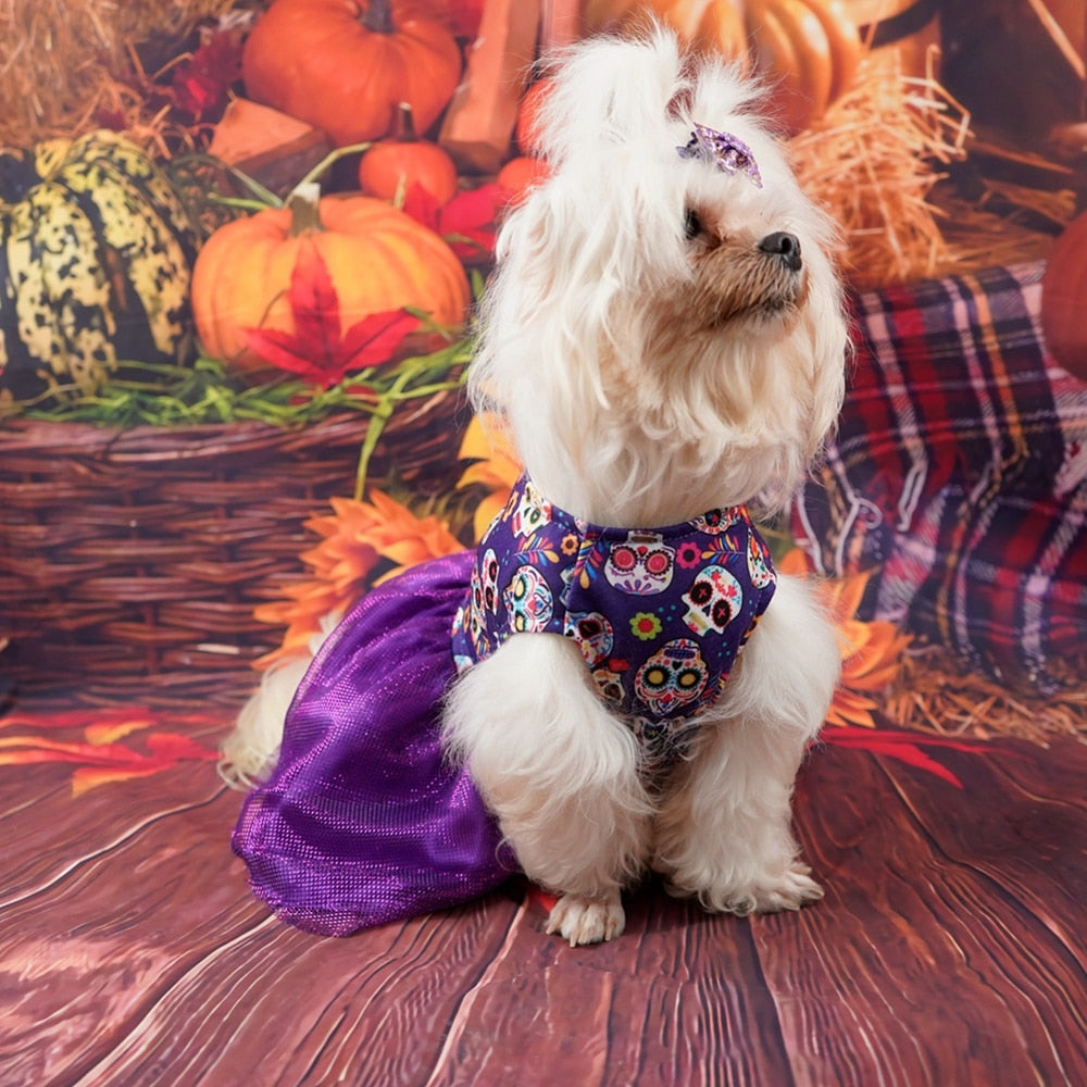 Pet Halloween Dress