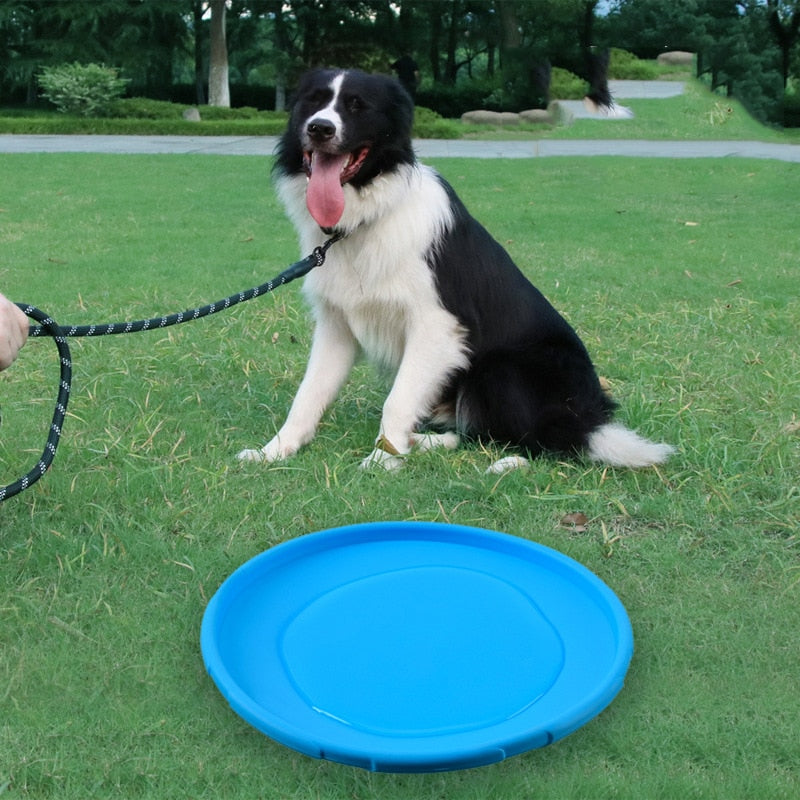Silicone Flying Disc, Dog Toy