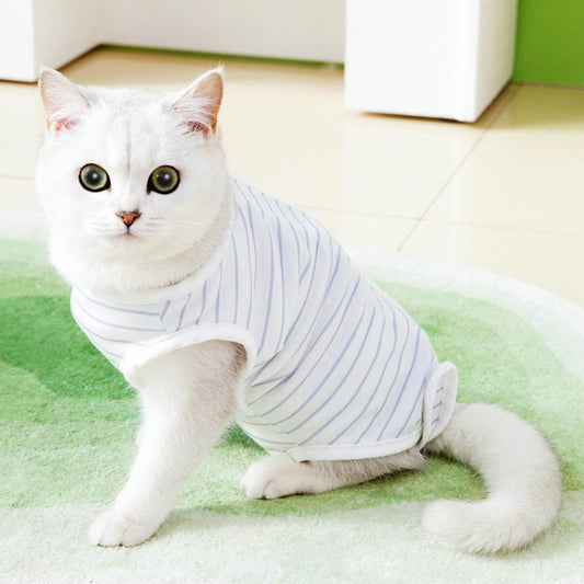 Pet Recovery Clothes