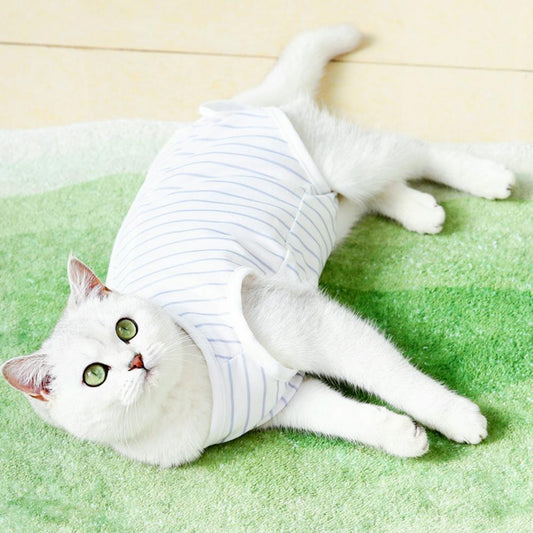 Pet Recovery Clothes