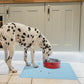 Easy Clean Waterproof Non-slip Pet Food Mat